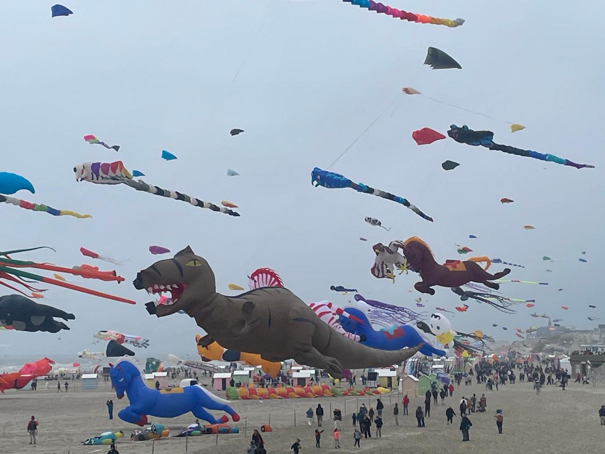 Gite Chti Picard Parking Prive Gratuit Et 100M De La Plage Berck المظهر الخارجي الصورة